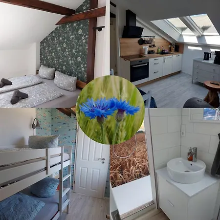 Kornblume - Bauernhof-nordsee-urlaub アパート *
